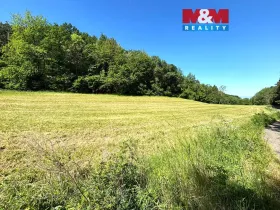 Prodej pole, Zbrašín, 7613 m2