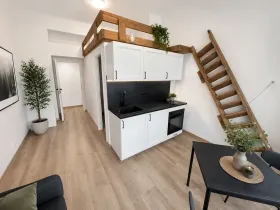 Pronájem bytu 1+kk, Praha - Vinohrady, Velehradská, 25 m2