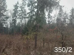 Prodej lesa, Nová Včelnice, 2797 m2