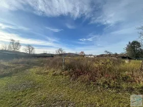 Prodej pozemku pro bydlení, Jindřichov, 1889 m2