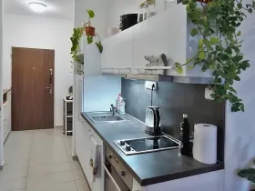 Pronájem bytu 1+kk, Brno, Příční, 42 m2