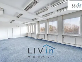 Pronájem kanceláře, Olomouc, Karolíny Světlé, 50 m2