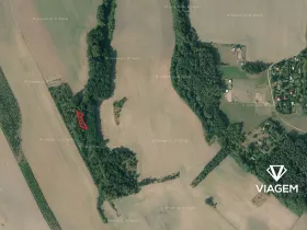 Prodej zahrady, Kojice, 500 m2