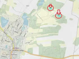 Prodej lesa, Studená, 4659 m2