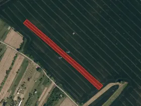 Prodej pole, Boršice, 2636 m2