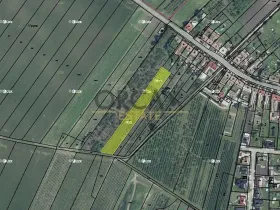 Prodej podílu pole, Moravský Žižkov, 1898 m2