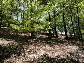 Prodej lesa, Lesnice, 1410 m2