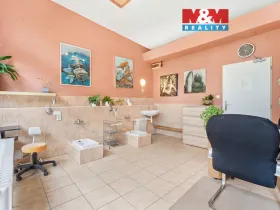 Prodej obchodního prostoru, Praha - Krč, Horáčkova, 24 m2