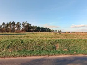 Prodej pole, Velký Bor, 18300 m2