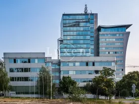 Pronájem kanceláře, Praha - Holešovice, Jankovcova, 478 m2