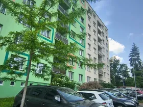 Pronájem bytu 2+1, Plzeň, Sokolovská, 56 m2