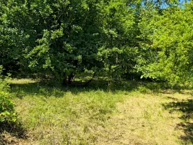 Prodej pozemku pro bydlení, Bukovina u Přelouče, 998 m2