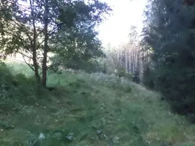 Prodej pole, Roztoky u Semil, 496 m2