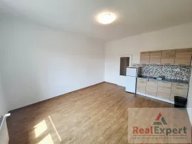 Pronájem bytu 1+kk, Praha - Žižkov, Jeseniova, 25 m2
