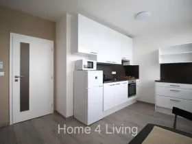 Pronájem bytu 1+kk, Brno, Nad Přehradou, 25 m2