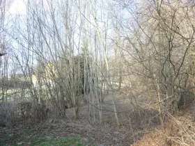 Prodej pozemku, Hamr na Jezeře, 471 m2