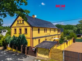 Prodej rodinného domu, Svojetín, 800 m2
