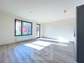 Pronájem bytu 1+kk, Praha - Čimice, Hrašeho, 46 m2