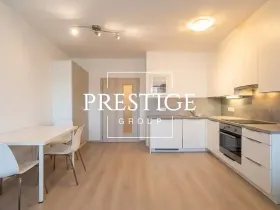 Pronájem bytu 1+kk, Praha - Letňany, Hlučkova, 30 m2