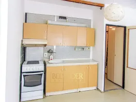 Prodej bytu 1+1, Ústí nad Labem, Družstevní, 37 m2