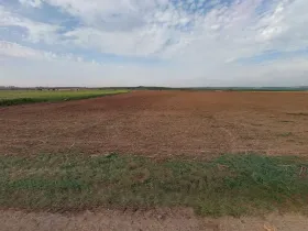 Prodej pole, Pouzdřany, 17410 m2