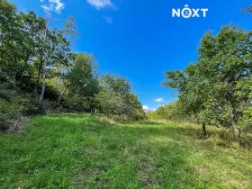 Prodej sadu/vinice, Lhenice, 3223 m2