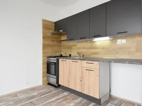 Pronájem bytu 1+1, Chomutov, Dřínovská, 35 m2