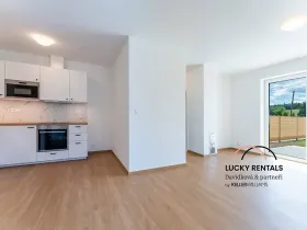 Pronájem bytu 3+kk, Řehenice, 77 m2