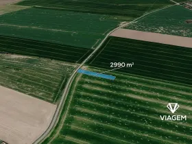 Prodej pole, Dvakačovice, 2990 m2