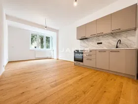 Pronájem bytu 1+kk, Praha - Břevnov, Pod Drinopolem, 30 m2