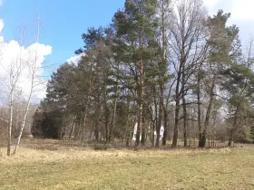 Dražba louky, Lužnice, 117 m2