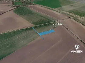 Prodej podílu pole, Třibřichy, 471 m2