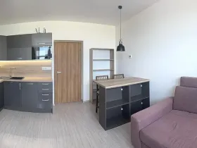Pronájem bytu 2+kk, Brno - Židenice, Letní, 56 m2