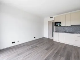 Pronájem bytu 1+kk, Praha, Na Zlíchově, 26 m2