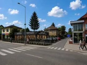 Pronájem obchodního prostoru, Praha - Horní Počernice, Lukavecká, 273 m2