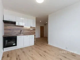 Pronájem bytu 2+kk, Most, Lidická, 33 m2
