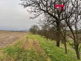 Prodej zahrady, Bezuchov, 901 m2