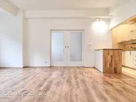 Pronájem bytu 2+kk, Praha - Žižkov, Biskupcova, 46 m2