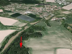 Prodej lesa, Trhový Štěpánov, 1133 m2