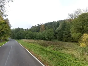 Prodej lesa, Tuchořice, 13223 m2