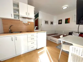 Pronájem bytu 1+kk, Brno, Eleonory Voračické, 25 m2