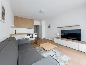 Pronájem bytu 1+kk, Praha - Karlín, Pernerova, 30 m2