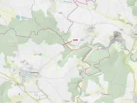 Dražba lesa, Chotýšany, 1841 m2