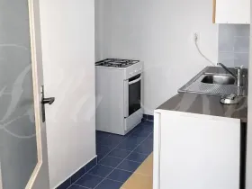 Pronájem bytu 1+1, Brno - Veveří, Štefánikova, 35 m2