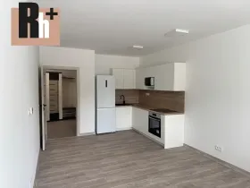 Prodej bytu 2+kk, Ostrava, Opavská, 59 m2