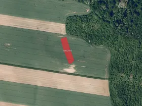 Prodej pole, Spytihněv, 2992 m2
