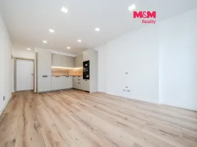 Prodej bytu 4+kk, Ostrava - Hrabůvka, Holasova, 78 m2