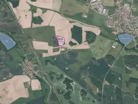Prodej lesa, Velký Bor, 16139 m2