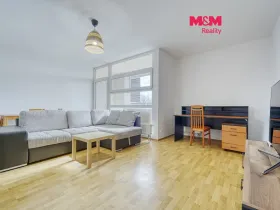 Pronájem bytu 1+kk, Plzeň - Severní Předměstí, Vrbovecká, 44 m2