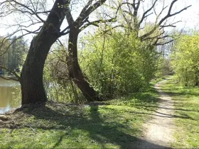Dražba pozemku, Dačice, 326 m2